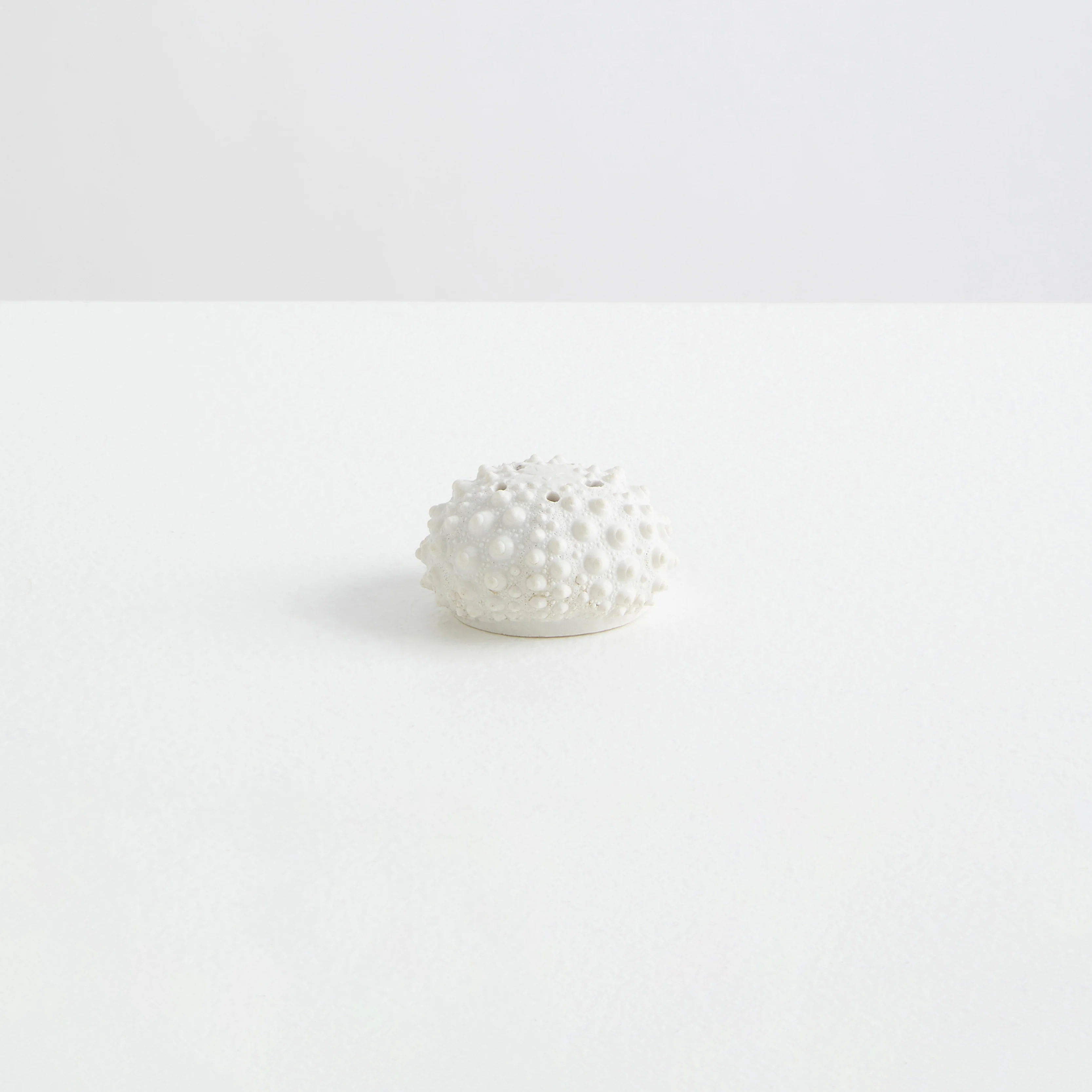 L'Oursin | The Sea Urchin - Image 2