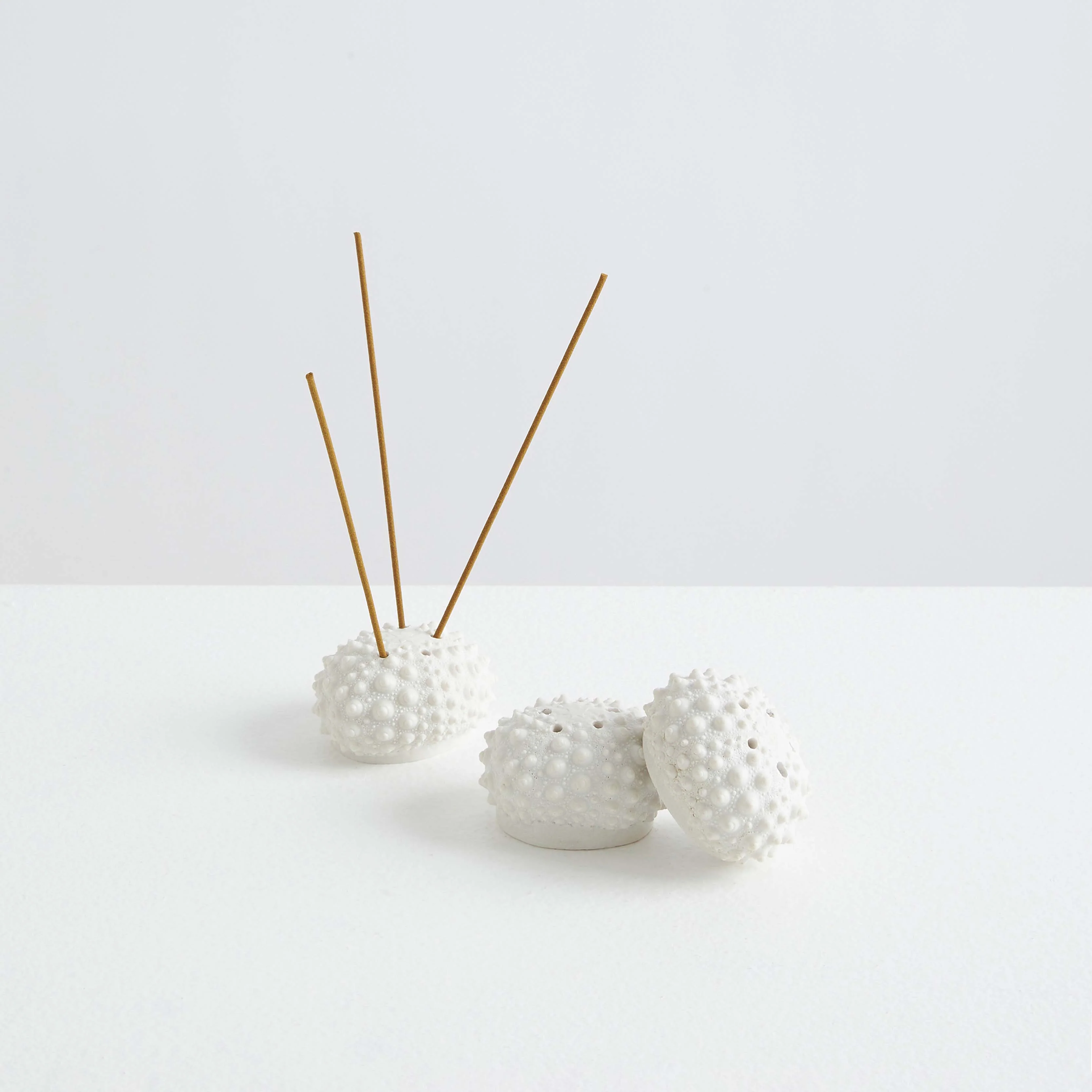 L'Oursin | The Sea Urchin - Image 3