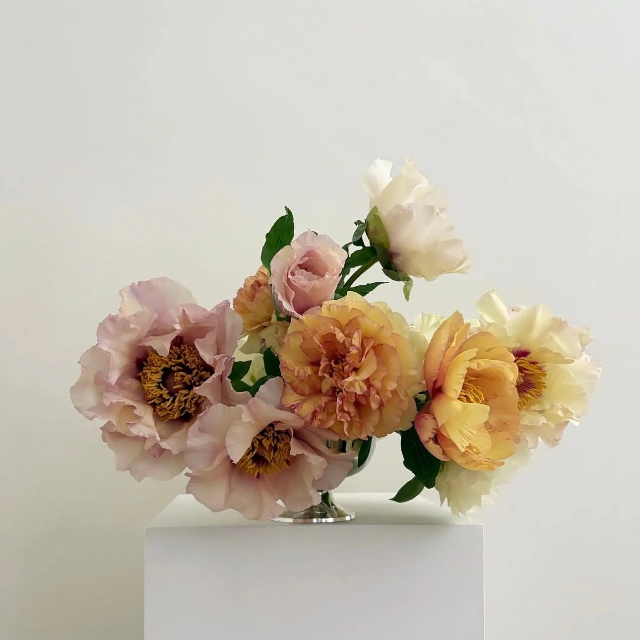 PEONIES | Framed Print