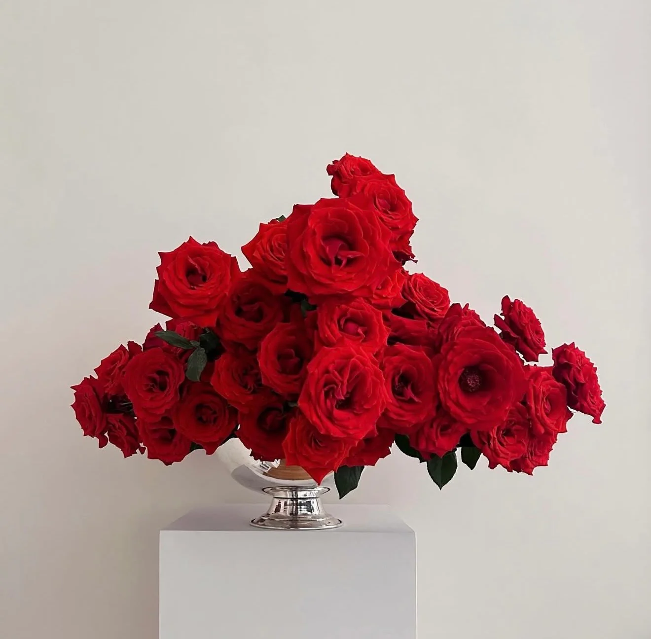 RED ROSES | Framed Print