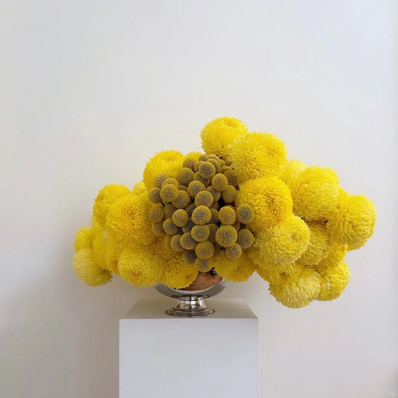 YELLOW POMPOM | Framed Print